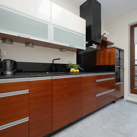 Air Conditioned With Parking And Desk For Remote Work In By Renters Warszawa